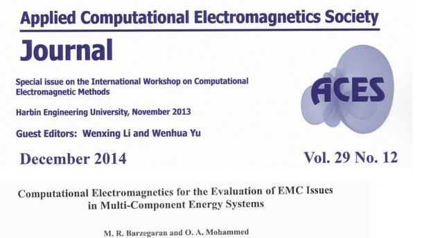 Computational Electromagnetics for the Evaluation of EMC Issues in Multi-Component Energy Systems