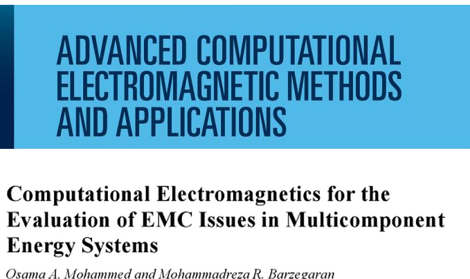 Computational Electromagnetics for the evaluation of EMC issues in Multicomponent Energy Systems